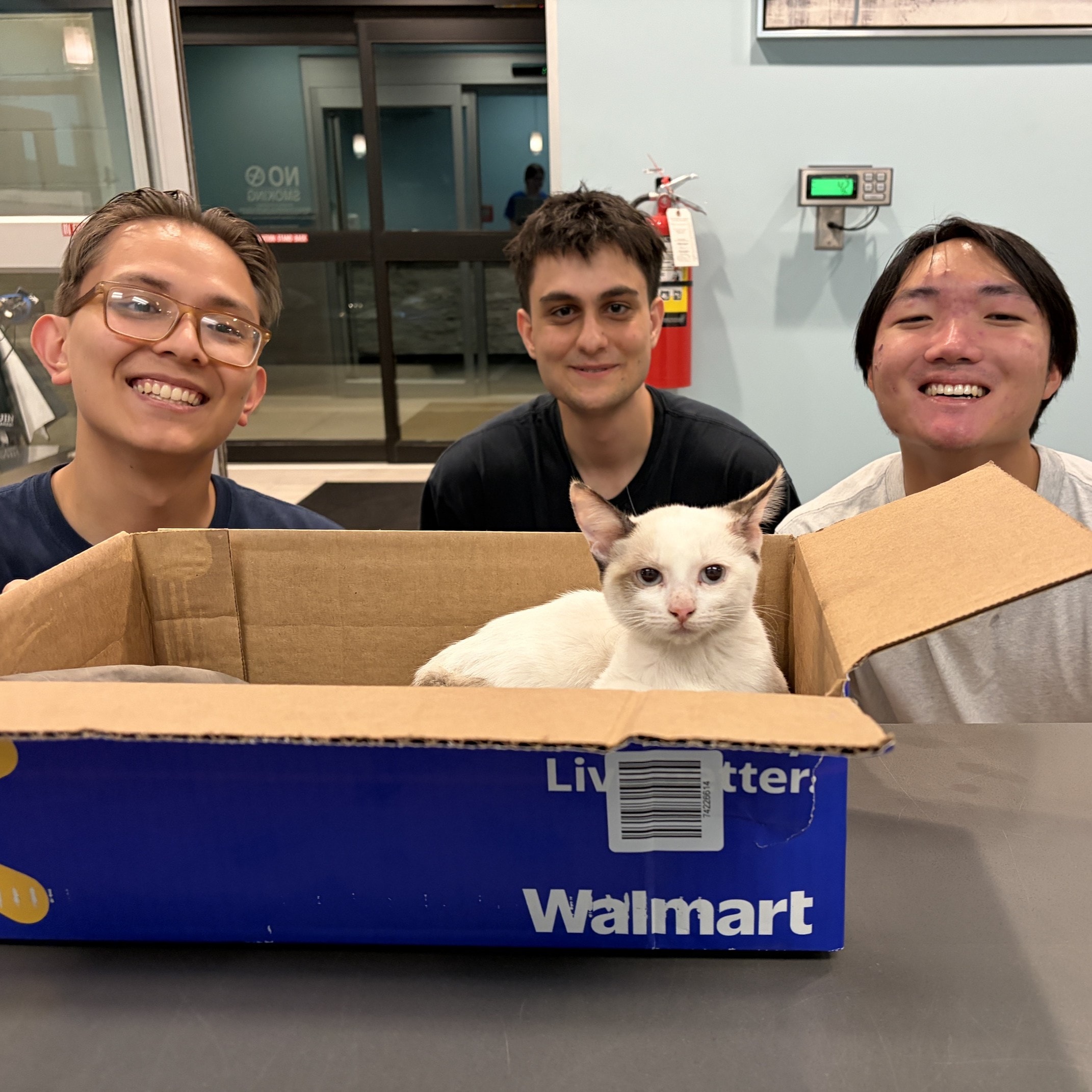 Ehsan and two friends smiling behind a cardboard box holding Mr. Scooty, the white kitten they rescued